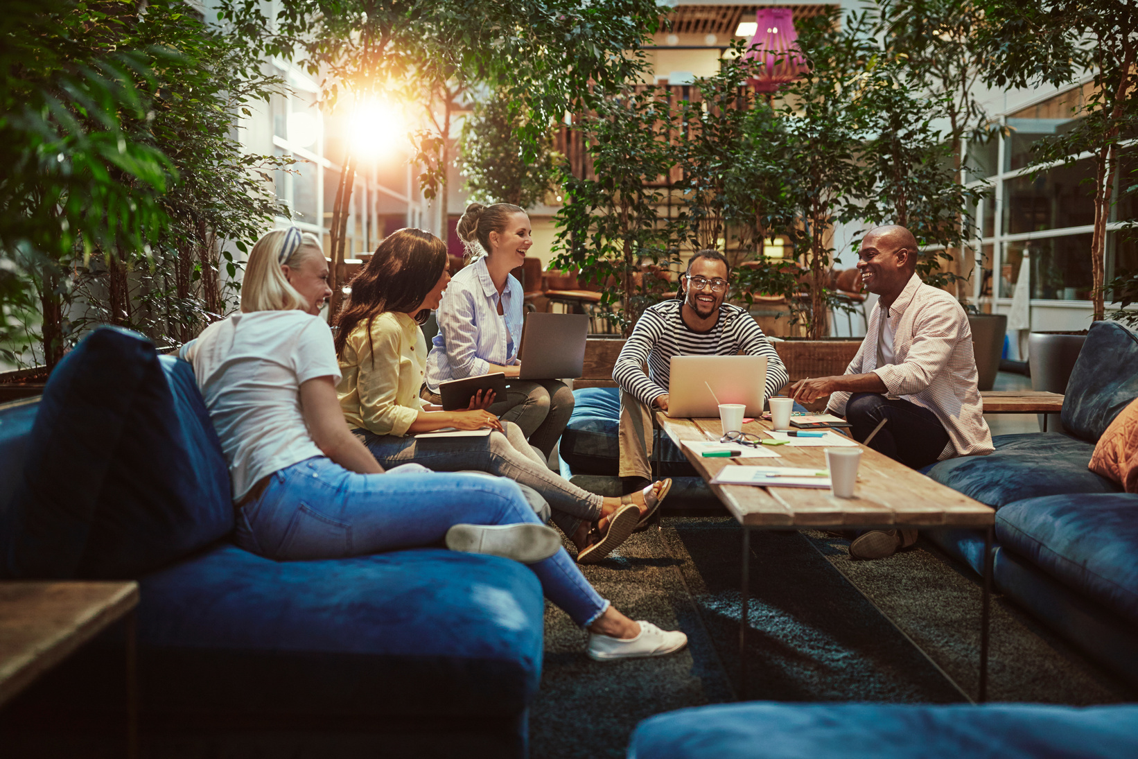 Young Businesspeople Working on Sofas in an Office